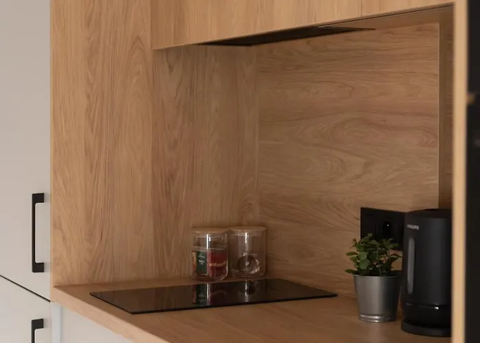 アパート Stylowy W Centrum Poznania ポズナン